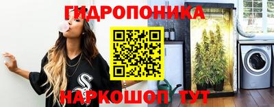ПСИЛОЦИБИНОВЫЕ ГРИБЫ Кандалакша