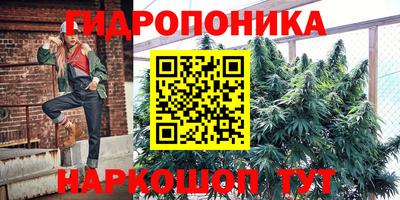 мдпв Канаш