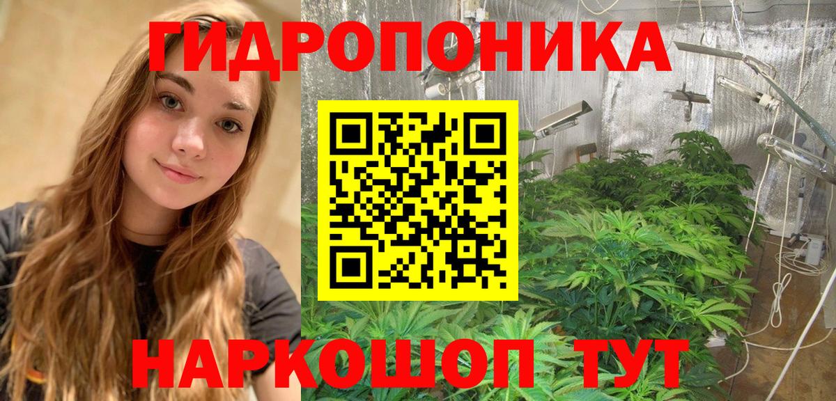 Галлюциногенные грибы Мелеуз